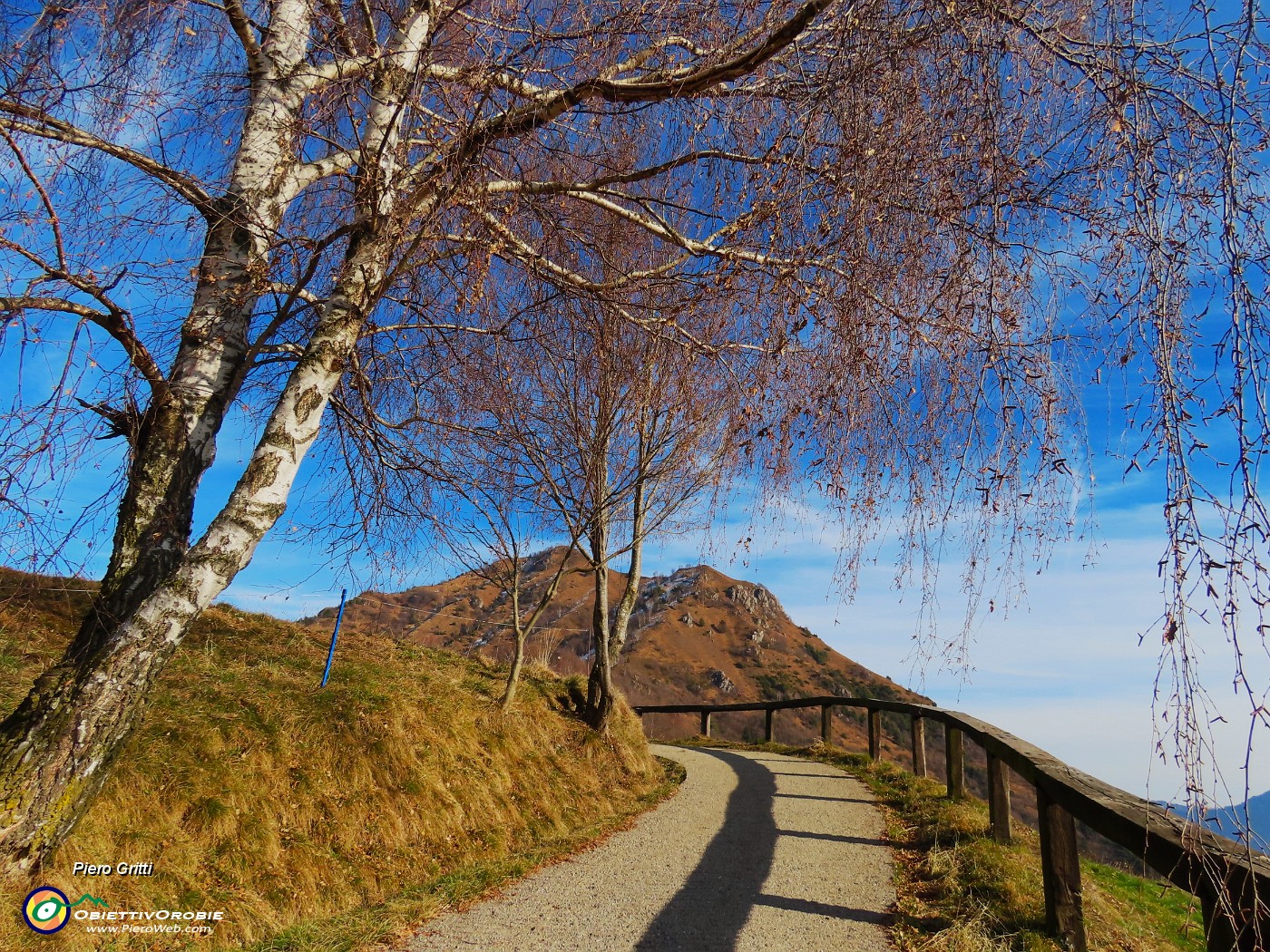 10 Il Monte Gioco sotto le fronde della betulla.JPG